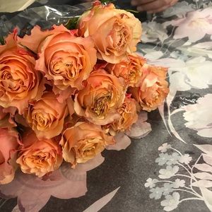 Meet your Posher, Missie